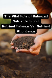 The Vital Role of Balanced Nutrients in Soil; Nutrient Balance Vs. Nutrient Abundance