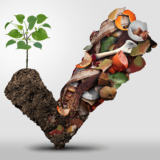 Bokashi Composting 5 Tips to Help You Start Your Home Composting Prog