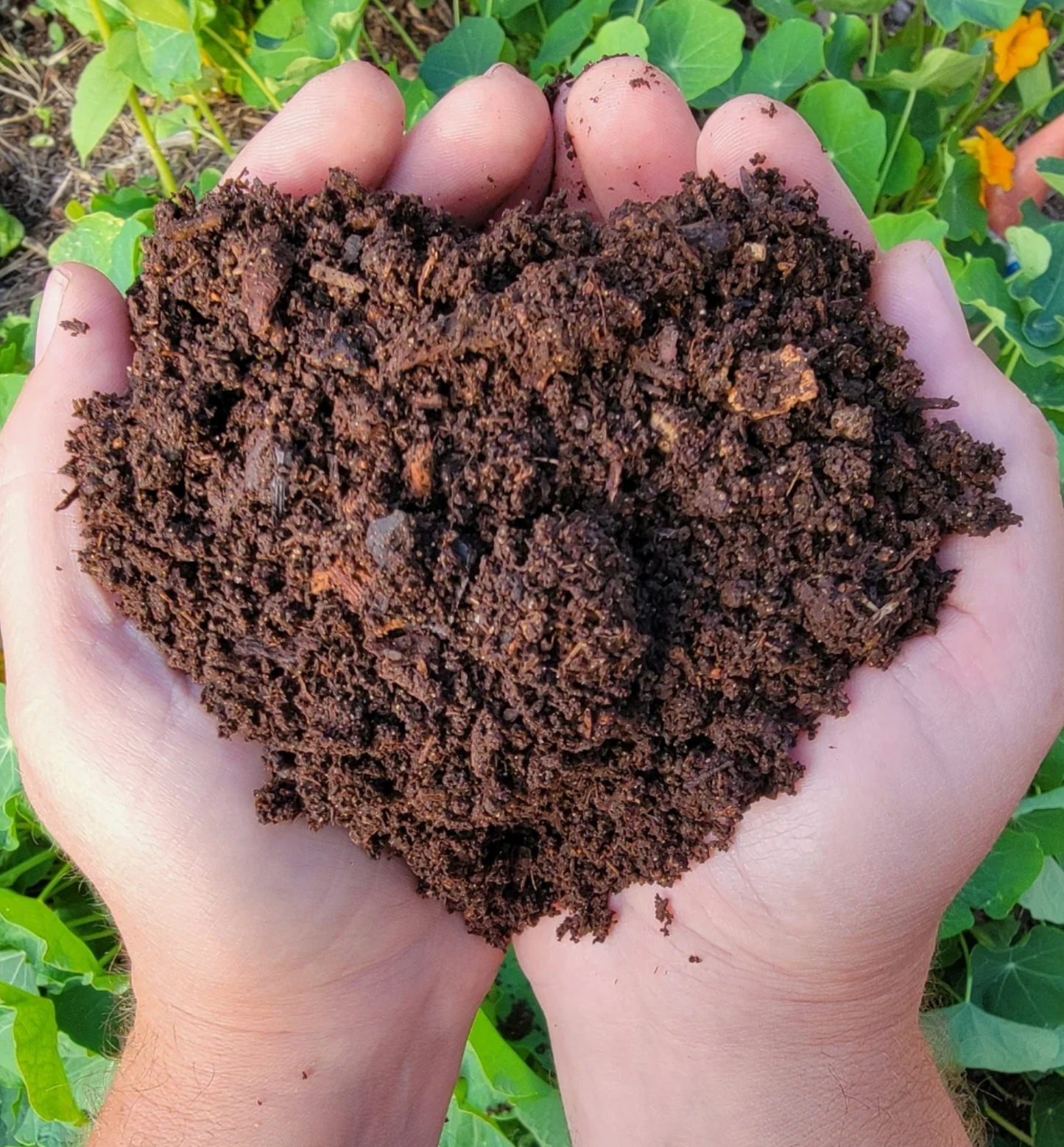 BioVast Private Reserve (Amended Vermicompost Top Dress)