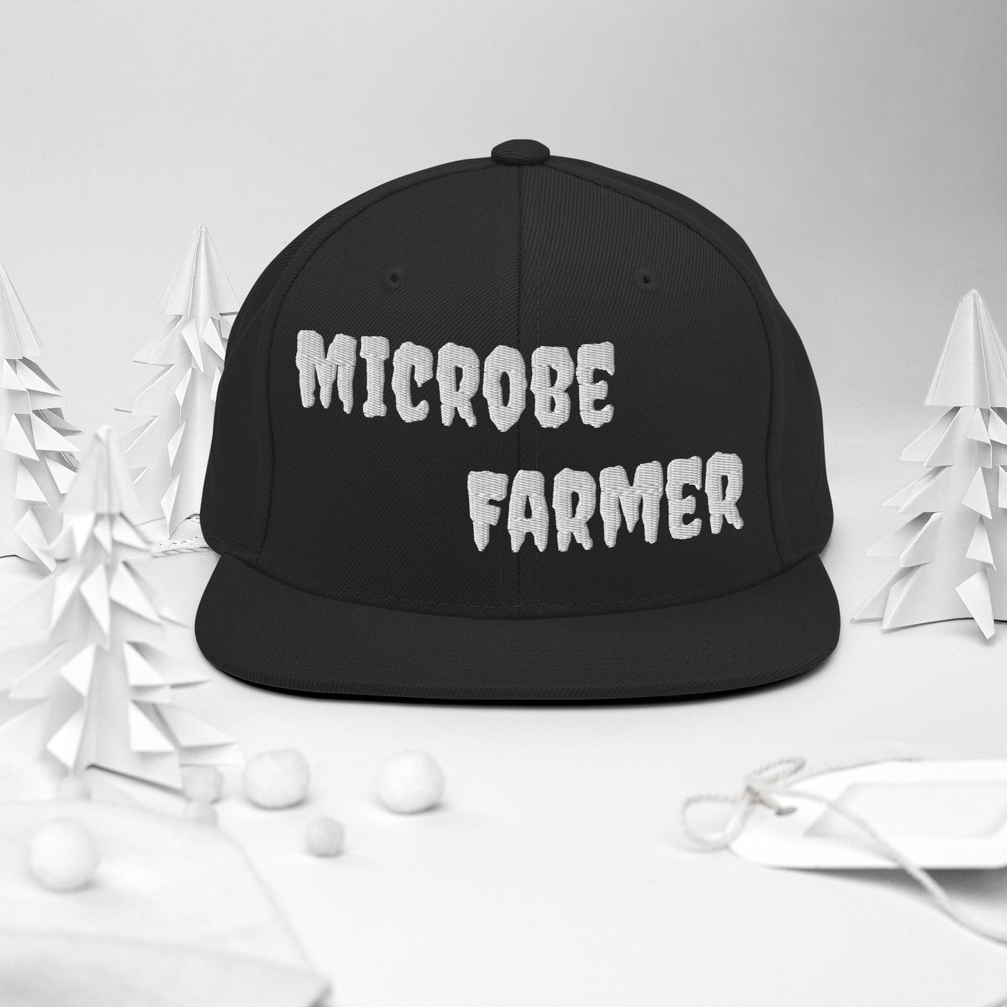 Snapback Hat