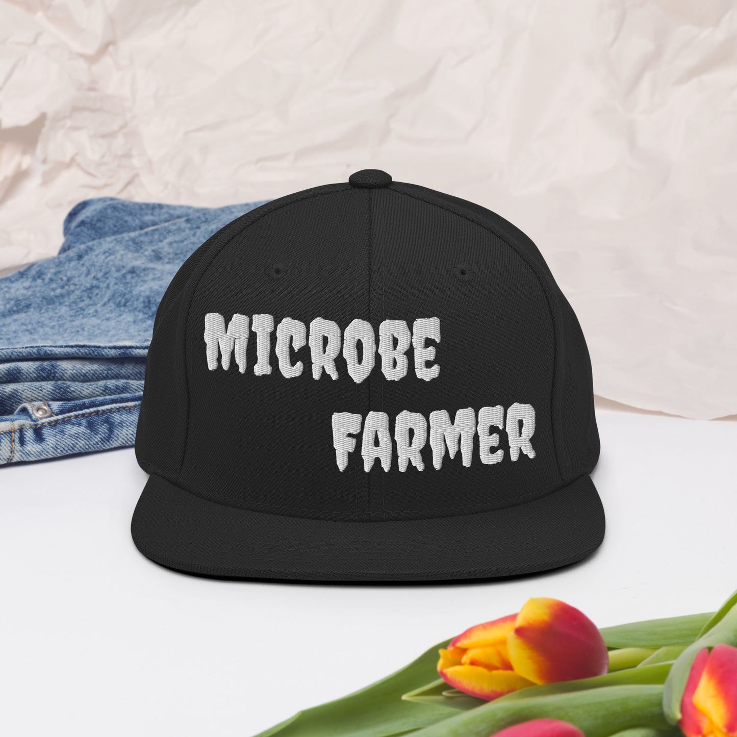 Snapback Hat