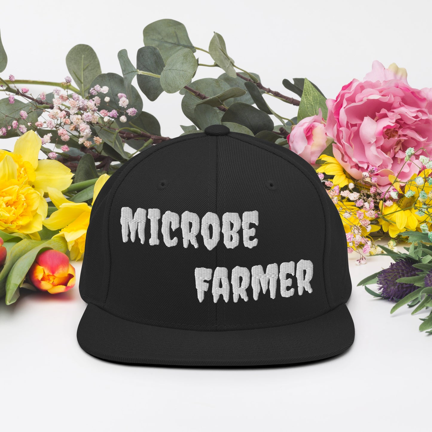 Snapback Hat