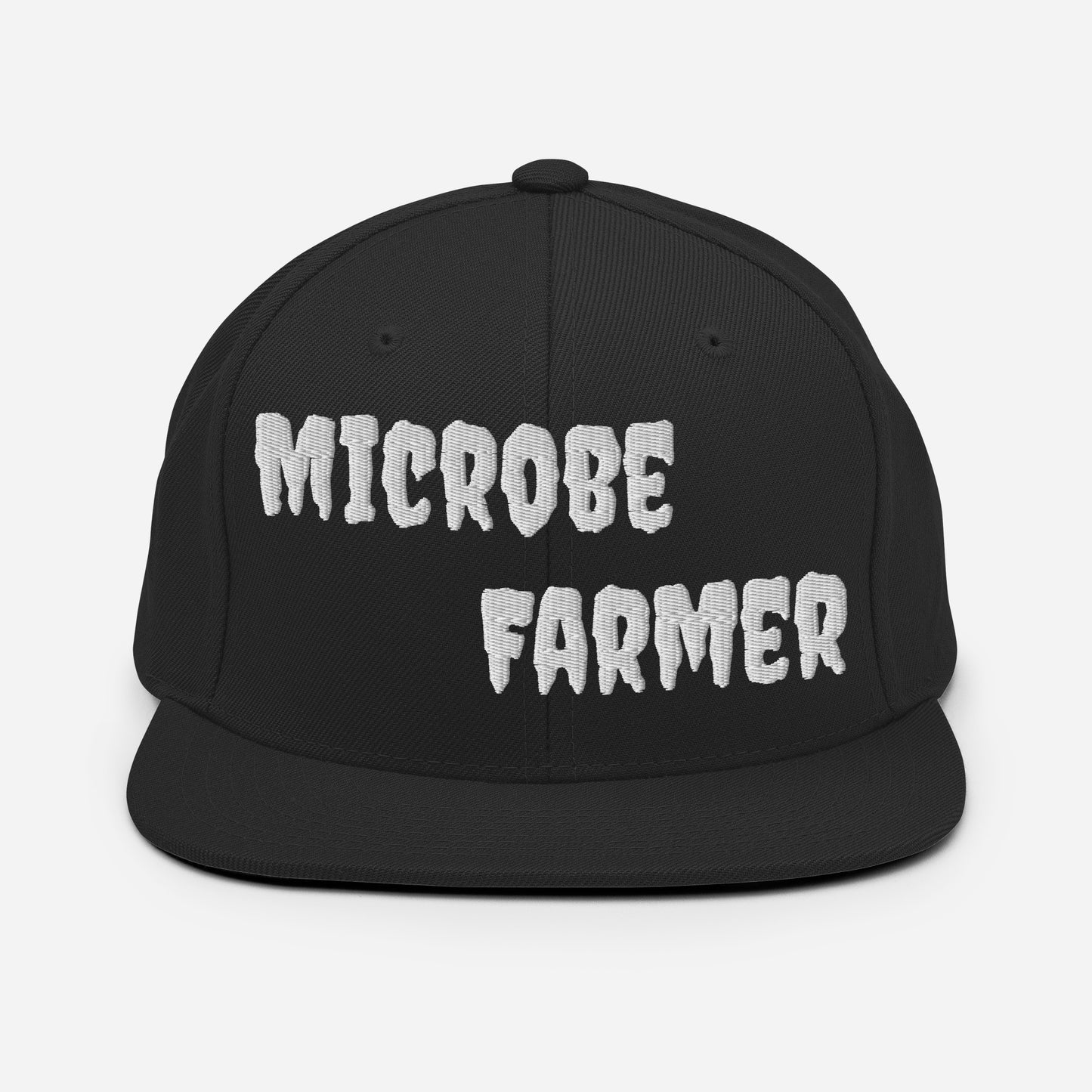 Snapback Hat