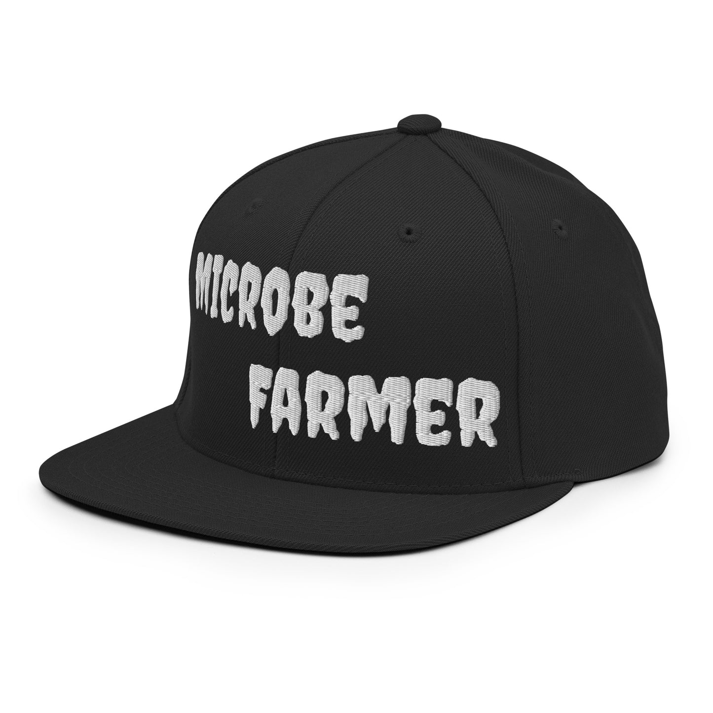 Snapback Hat