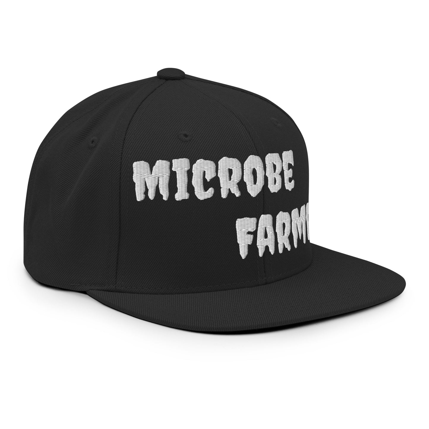Snapback Hat