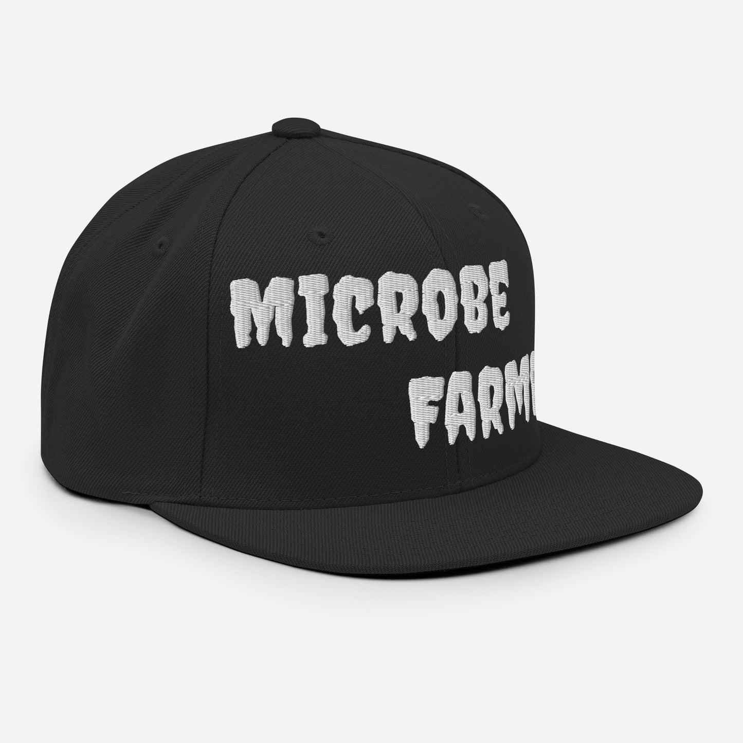 Snapback Hat