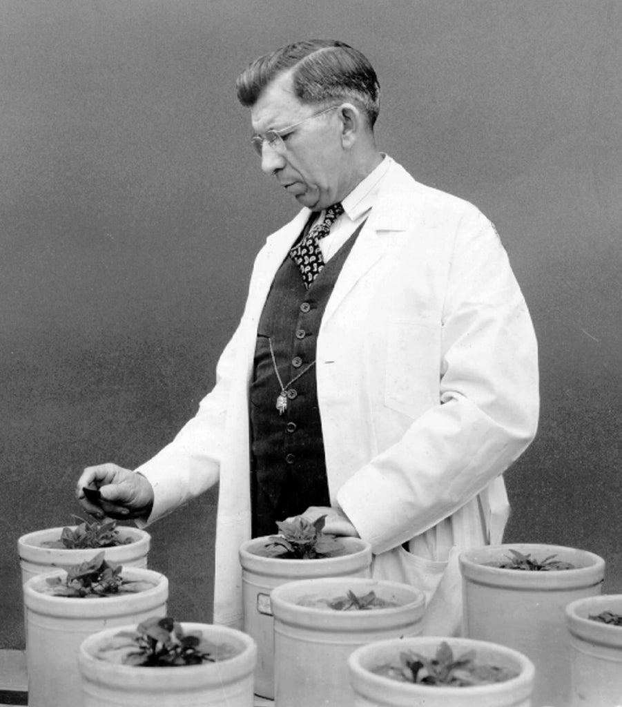 Unveiling the Wisdom of William Albrecht: Soil Balancing and the Albrecht Papers