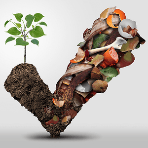 Bokashi Composting: 5 Tips to Help You Start Your Home Composting Program