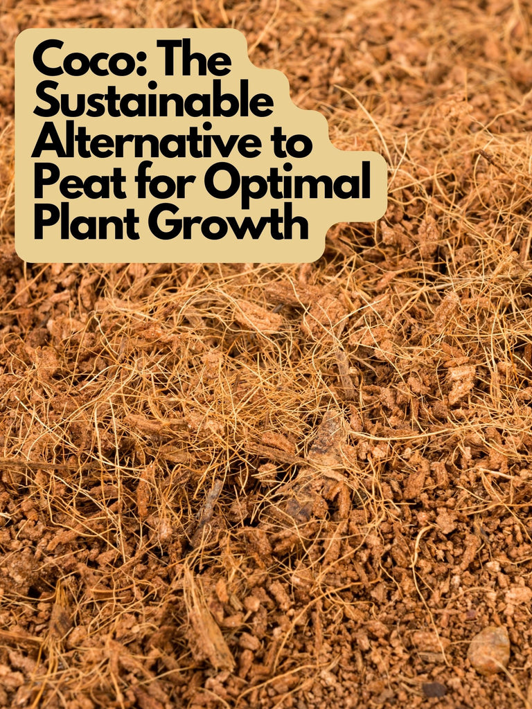 Coco: The Sustainable Alternative to Peat for Optimal Plant Growth