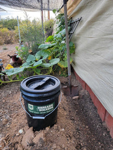 How to Add Organic Matter to your Soil with Bokashi Food Scraps: Digging a Trench