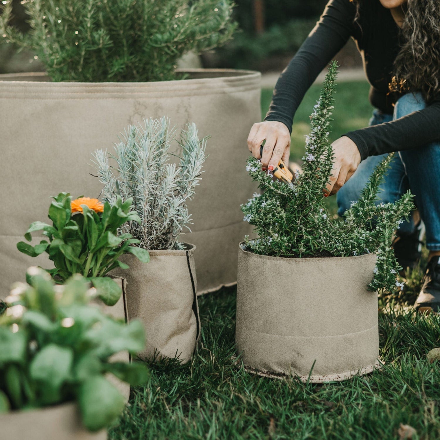 Living Soil Pots and Raised Beds