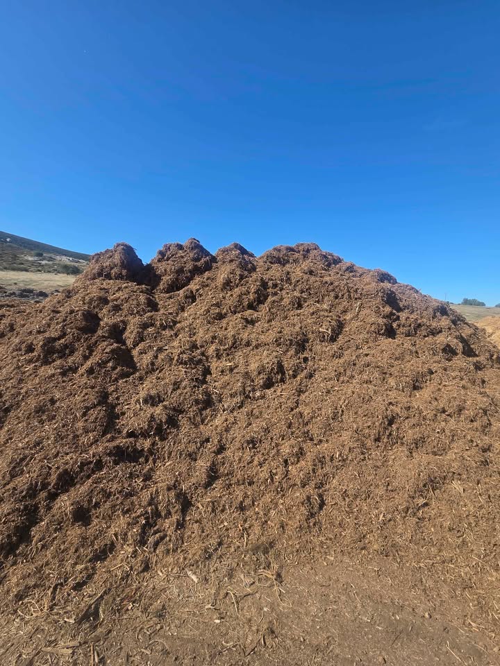 Premium Palm Fiber Mulch – Shredded Palm