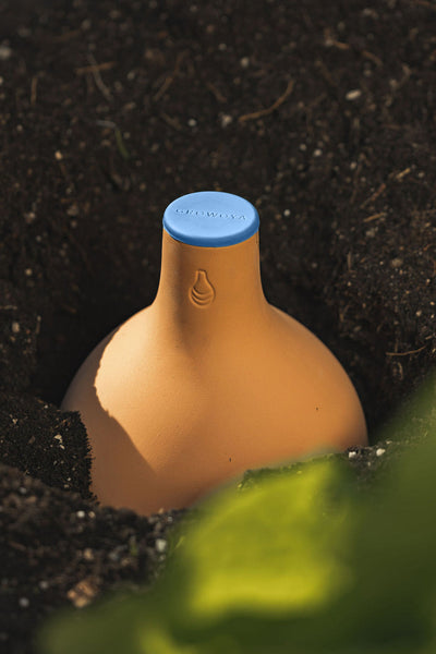 Garden Oya™ Watering Pot (SC)
