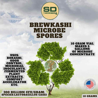 BrewKashi Spore: Lactobacillus Casei