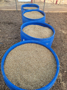 55 Gallon Barrel Sun Dried Organic Beer Grain. ( for cows , pigs, chickens, ruminant animals.))